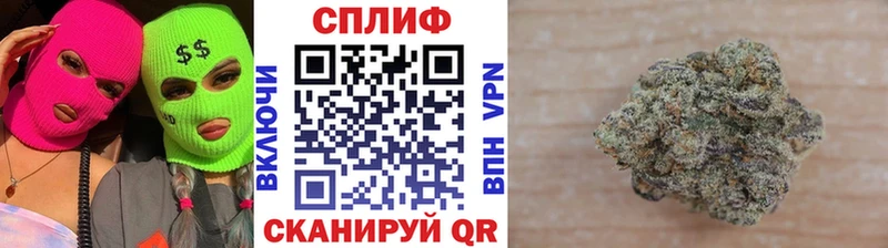 Купить  Монино  Бошки марихуана OG Kush 